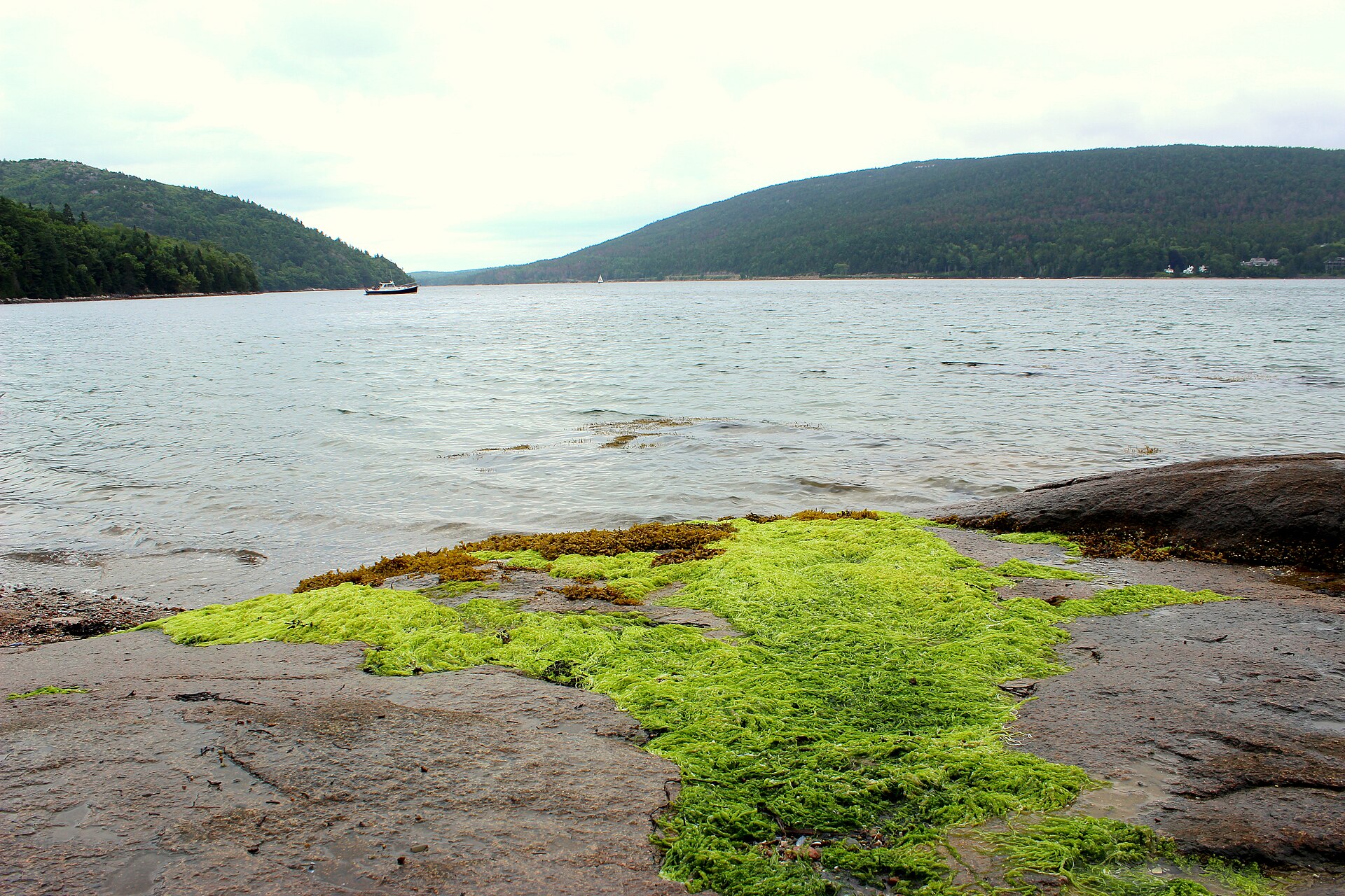 Valley Cove, Southwest Harbor, Maine