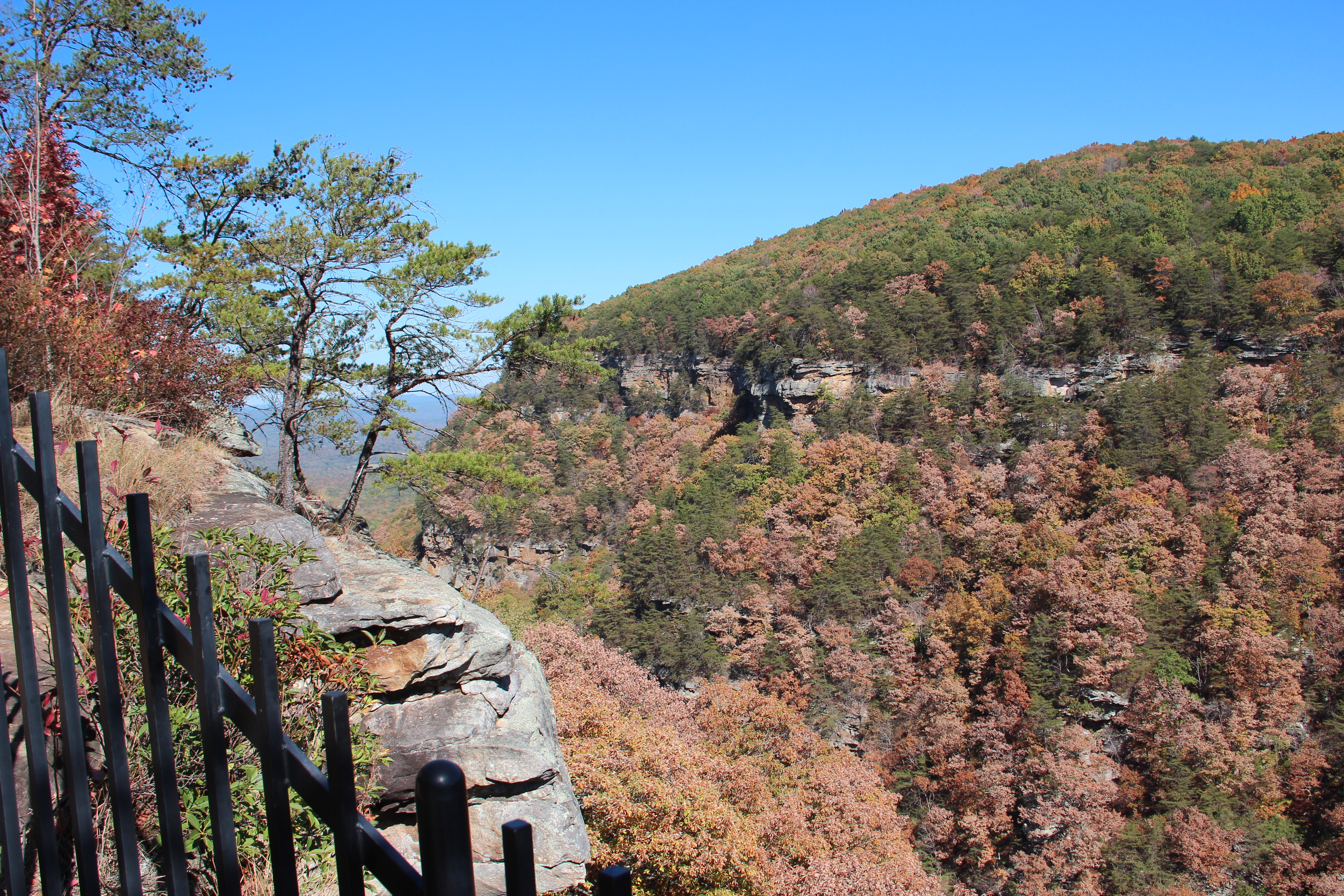 Quiet Cloudland Canyon view from the west rim