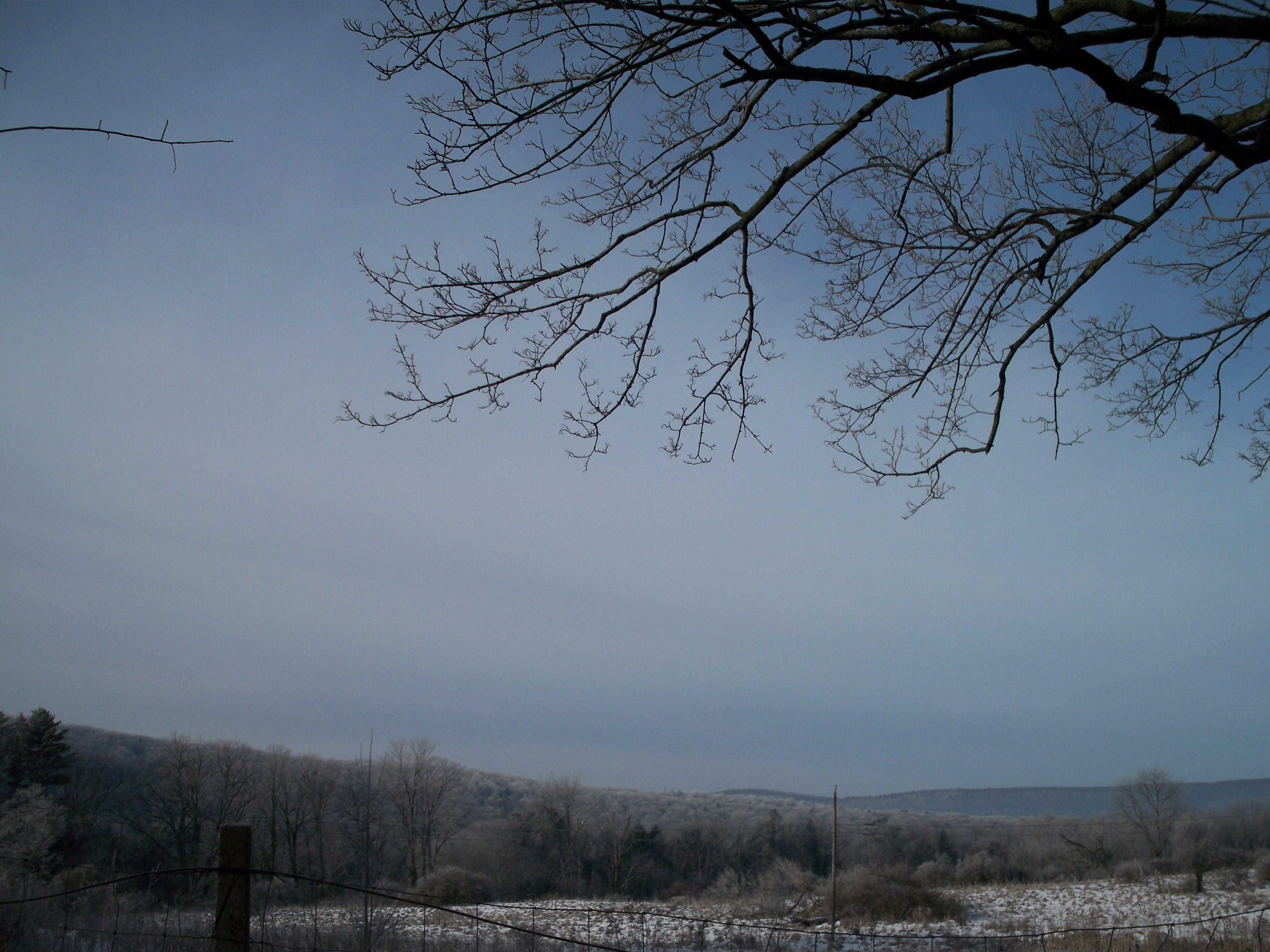 East Mountain State Forest in Great Barrington, Massachusetts. Wikimedia Commons, location in title.