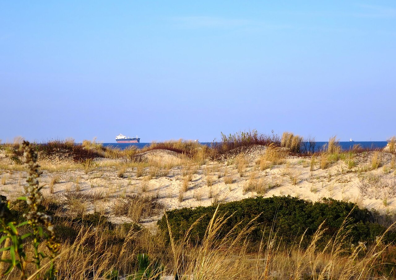 Dunes and a ship offshore at Cape Henlopen, Delaware