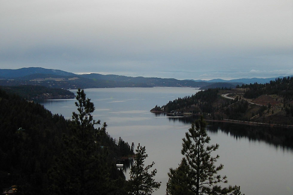 Lake Coeur d'Alene from a hillside overlook, forested shoreline photograph