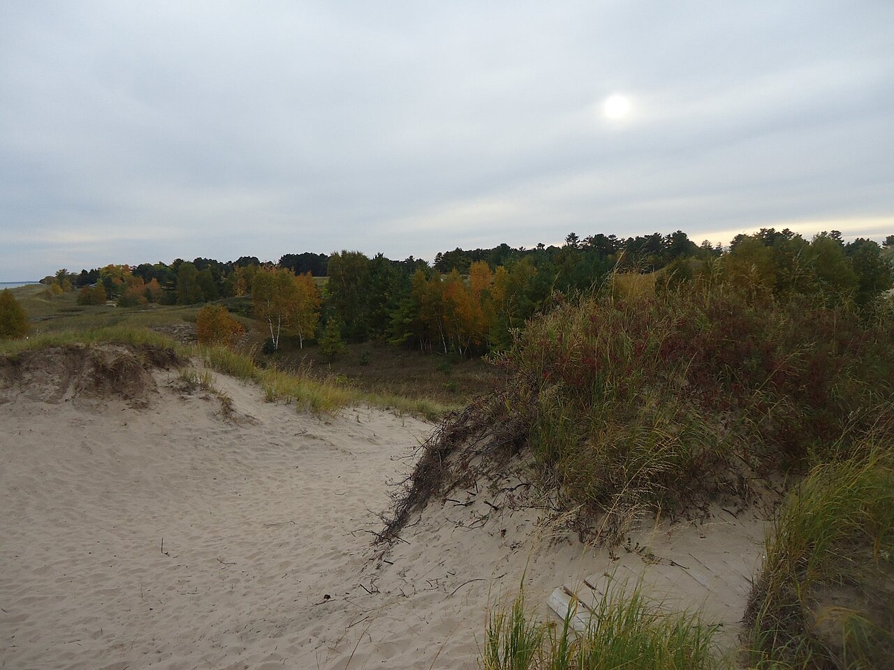 Autumn dunes at Kohler-Andrae State Park