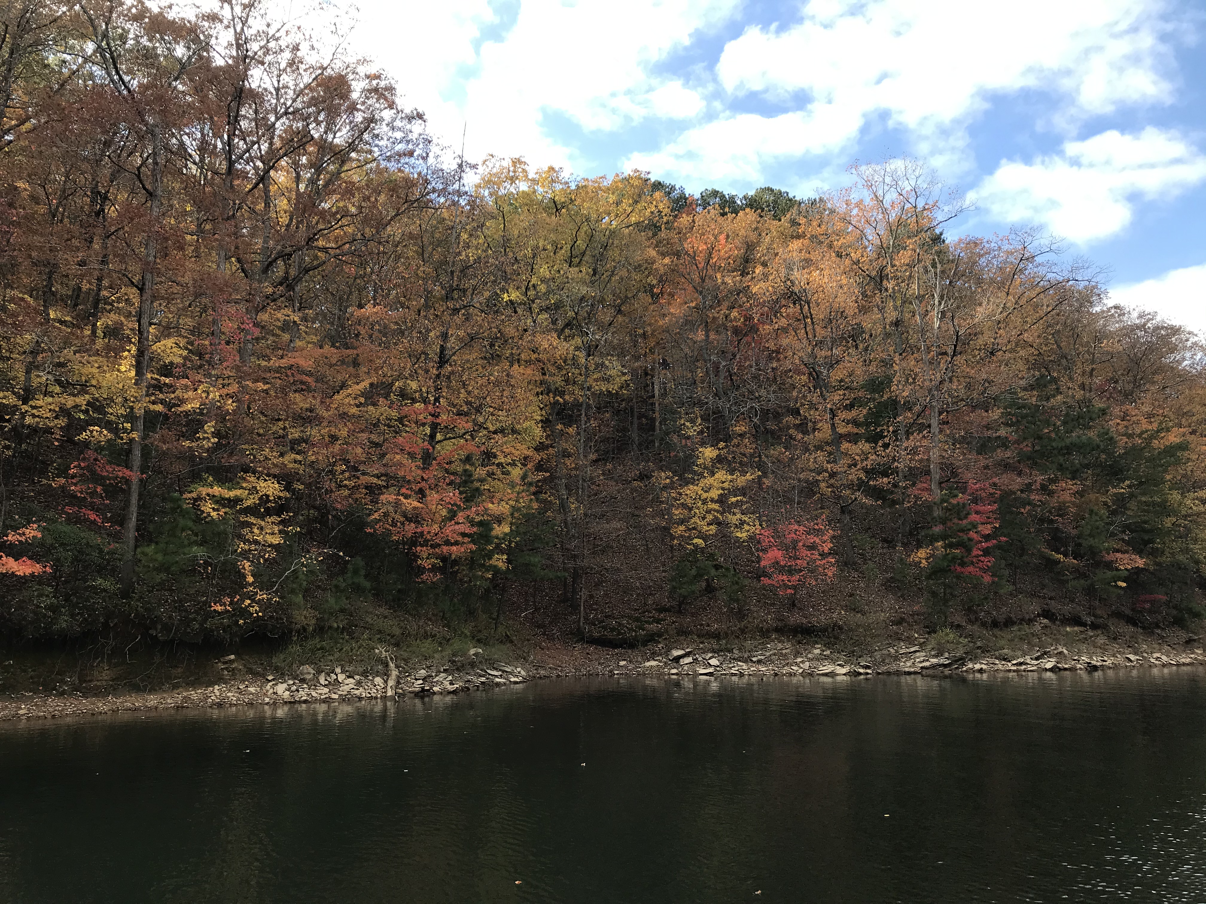 Fall color at Carters Lake in Gilmer County, Georgia