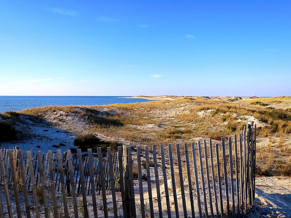 Dune fence and Atlantic shore at Cape Henlopen State Park