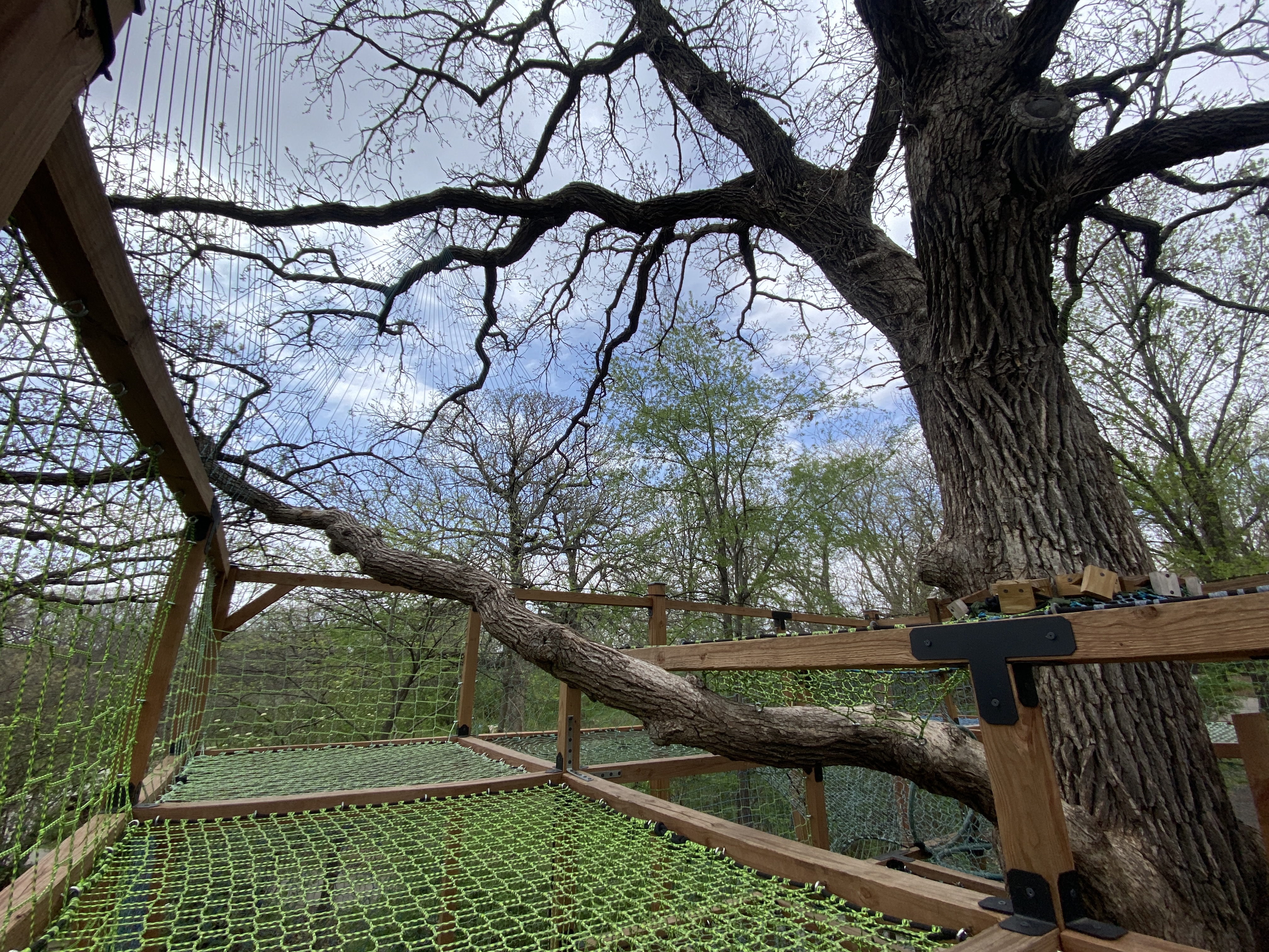Arbor Day Farm Tree Adventure in Nebraska City, Nebraska