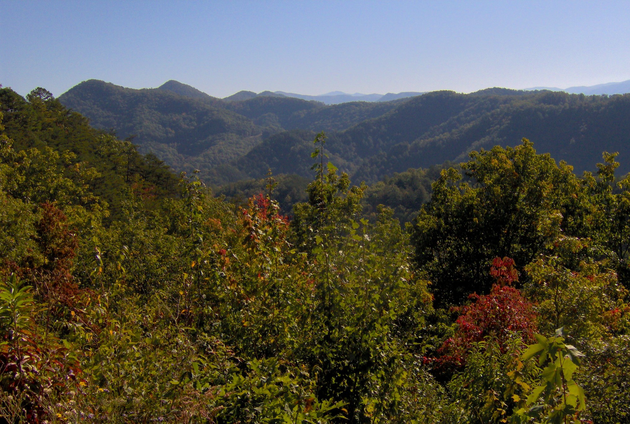 Early leaf color on Foothills Parkway looking toward the Smokies