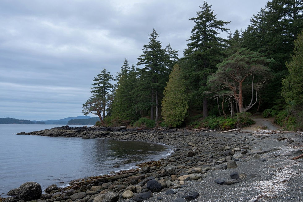 Empty Washington Park shoreline in Anacortes, no people
