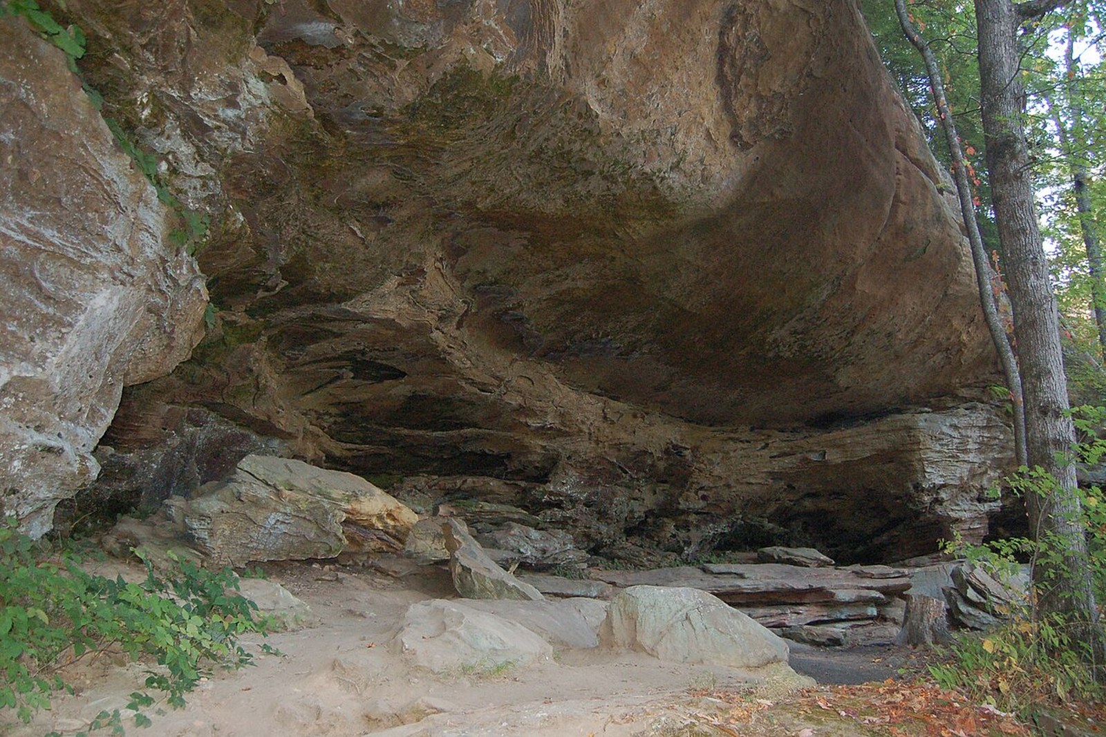 Sky Bridge rock shelter in Red River Gorge