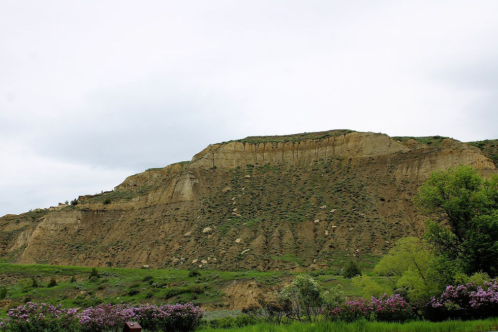 Theodore Roosevelt National Park South Unit badlands near Medora, no people