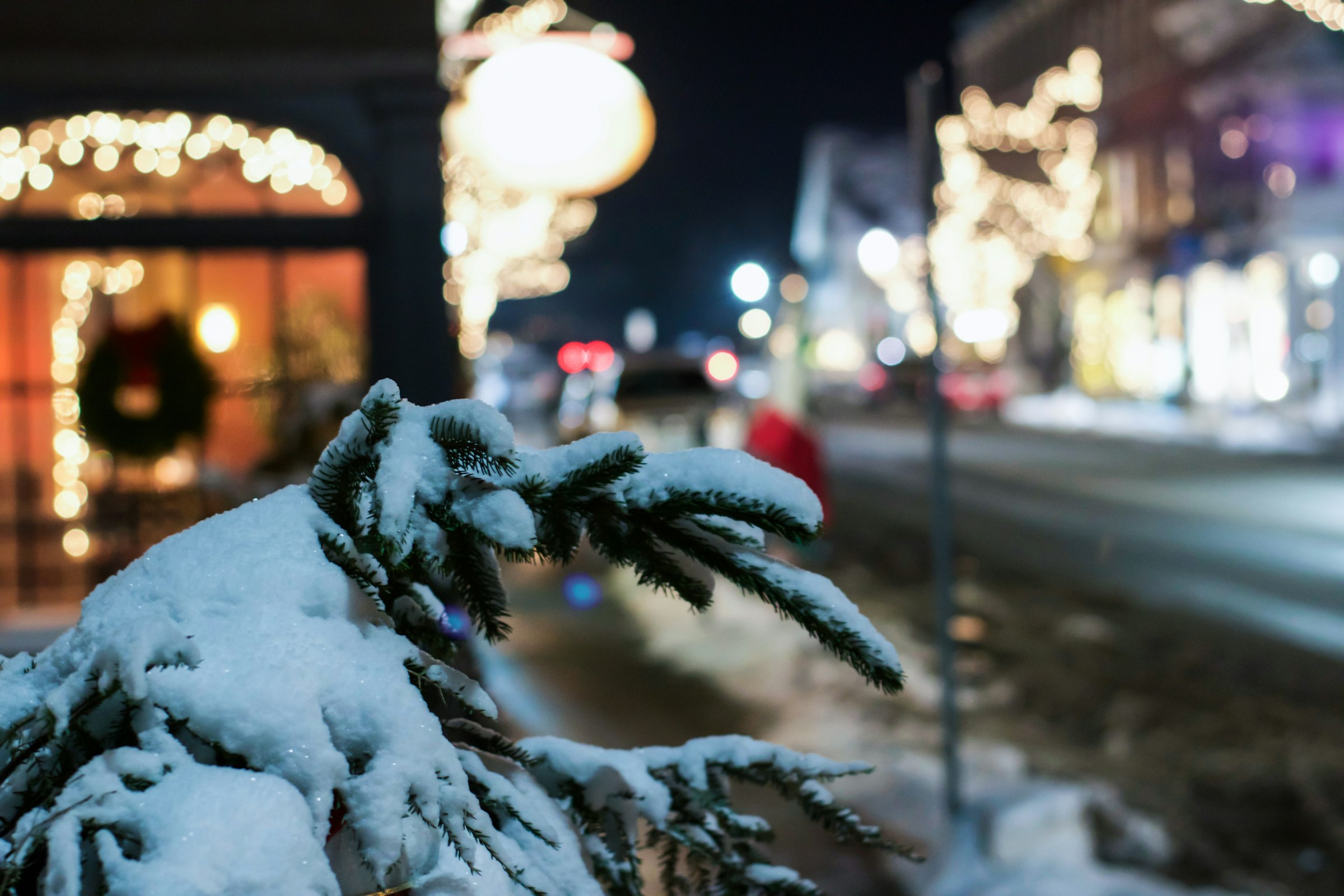 Snow-covered trees in Woodstock, Vermont. Unsplash, location-tagged Woodstock.