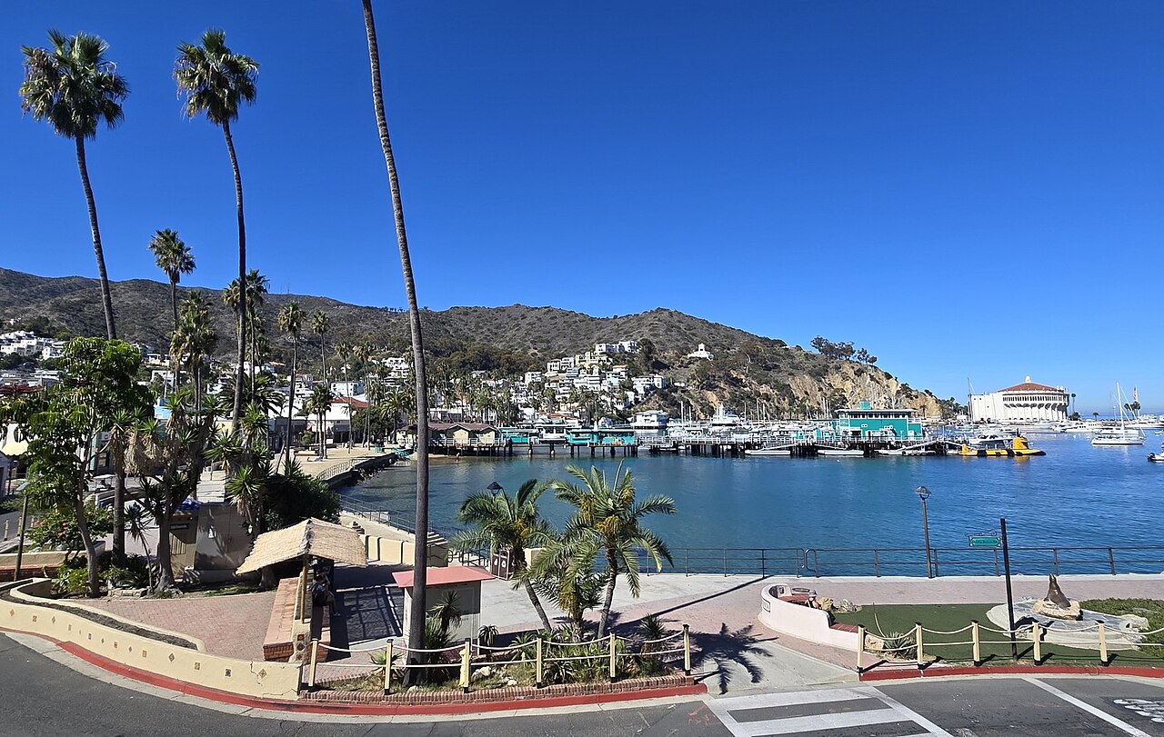 Avalon Harbor, palms, and the Catalina Casino from the town promenade.