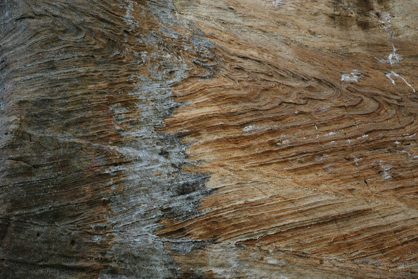 Corbin sandstone wall texture in Red River Gorge