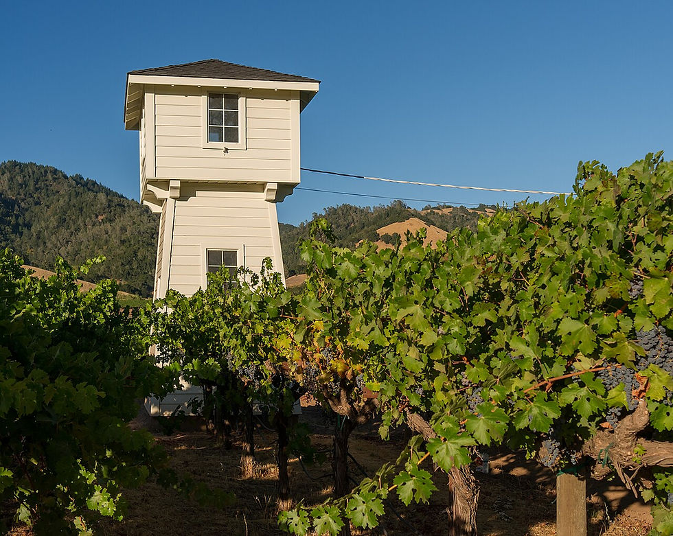 Silver Oak water tower among Alexander Valley vines