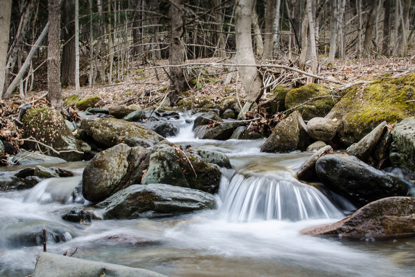 West Branch stream in the woods above Stowe village