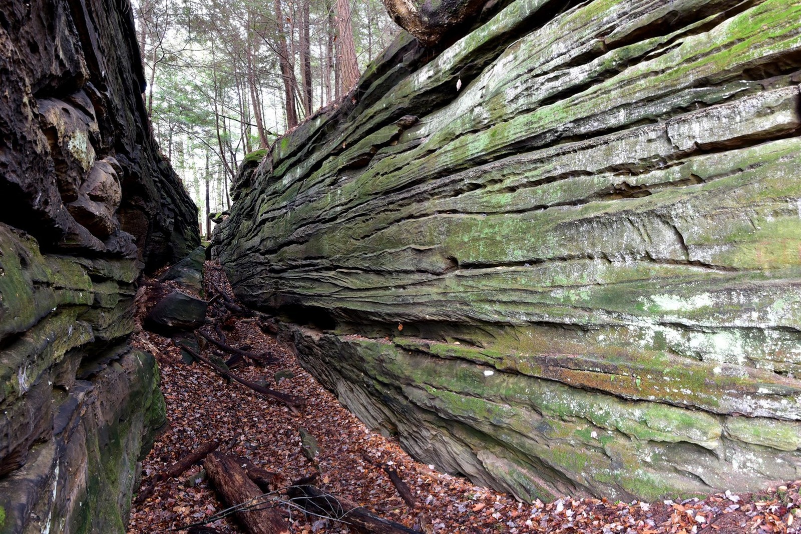 The Ledges in Cuyahoga Valley National Park