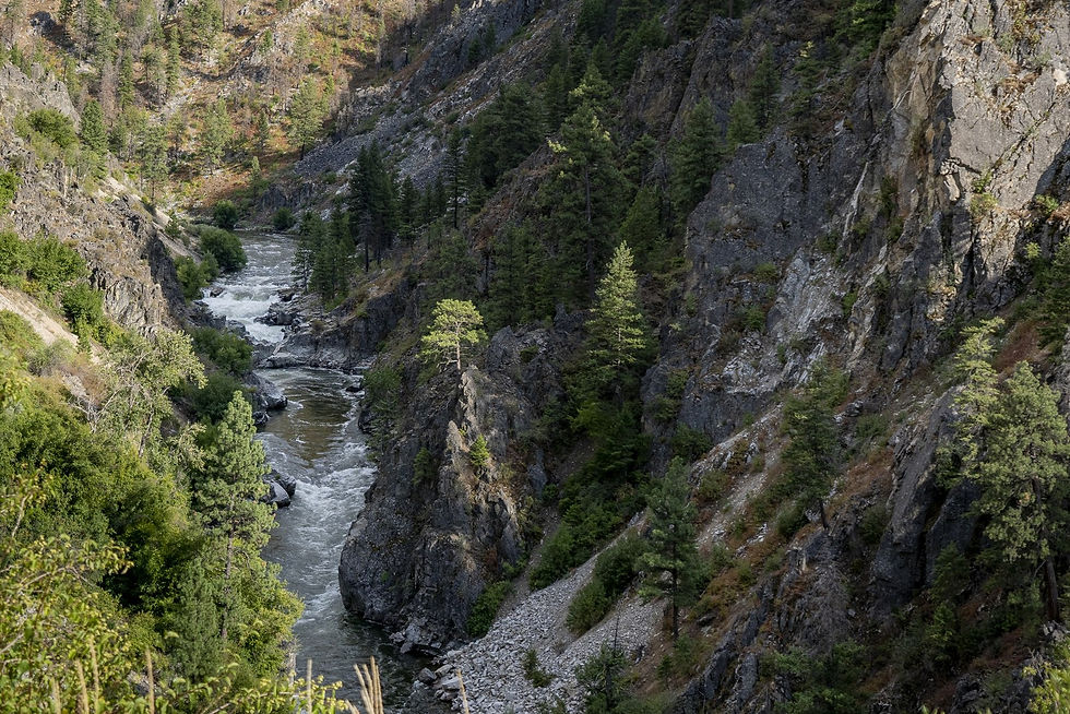 Lower South Fork Payette river run