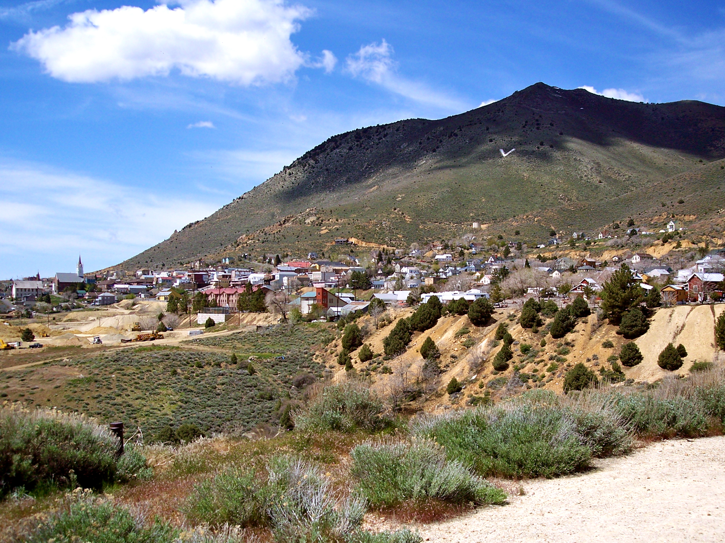 Virginia City, Nevada from Mason's cemetery