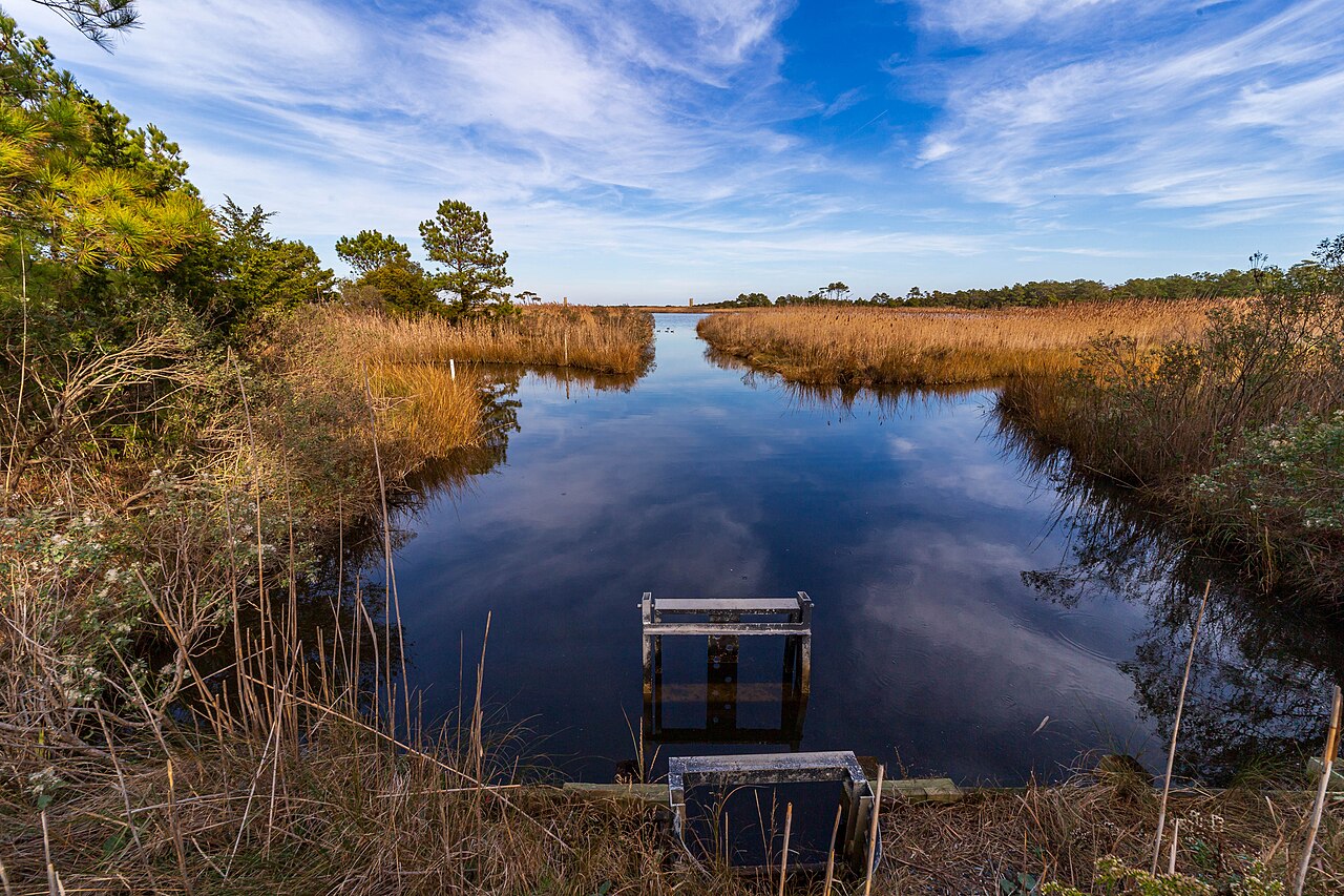 Gordon's Pond marsh at Cape Henlopen State Park, Delaware
