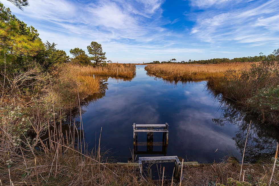 Gordon's Pond marsh at Cape Henlopen State Park, Delaware