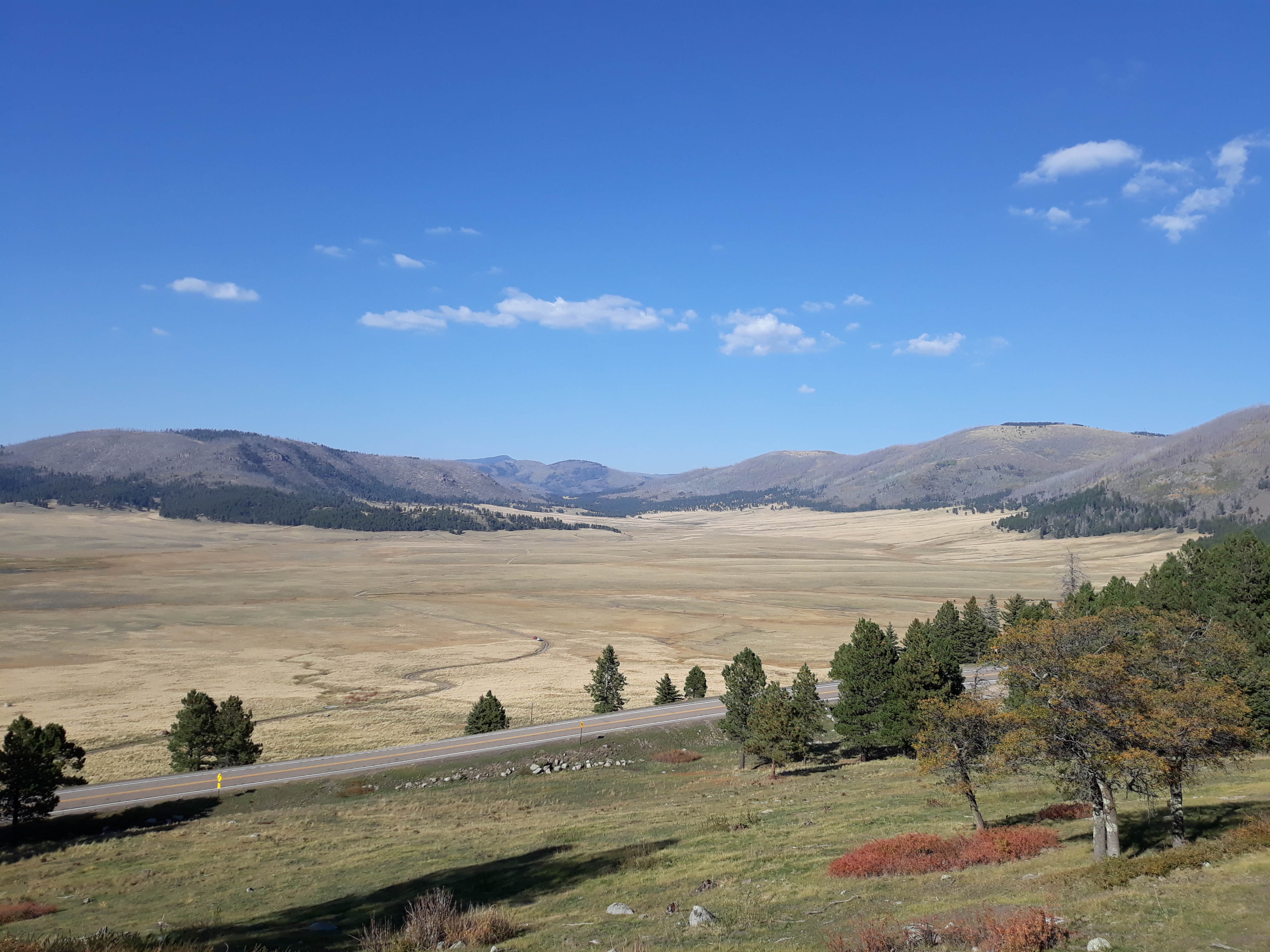 Grassy slope overlooking the Valles Caldera