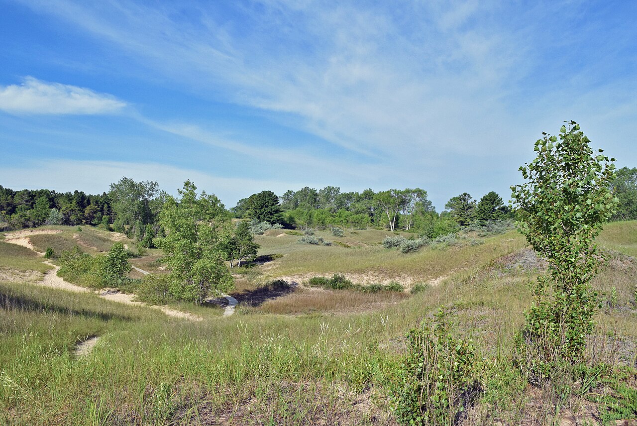 Dune trail at Kohler-Andrae State Park near Sheboygan