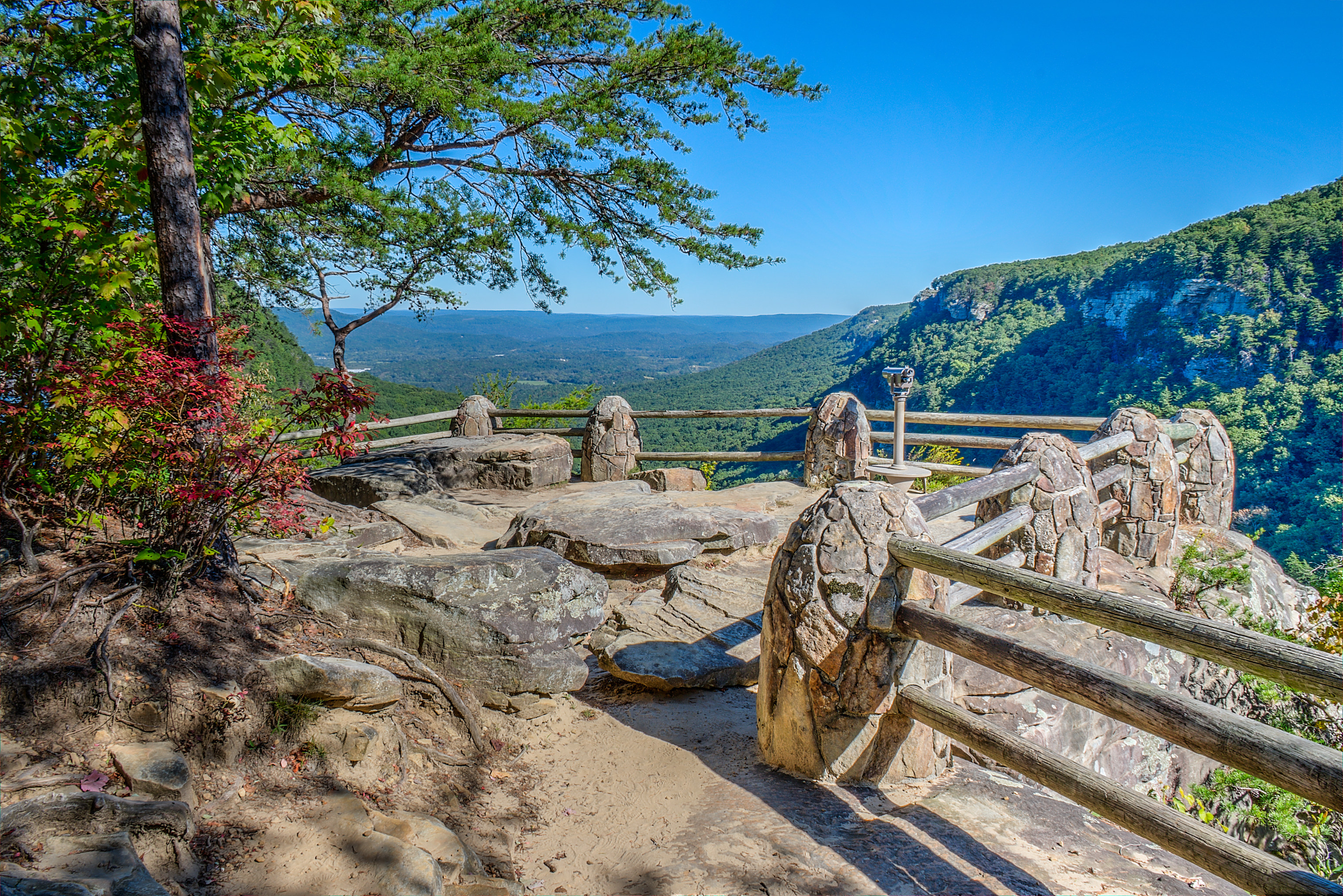 Cloudland Canyon west rim looking into the gorge