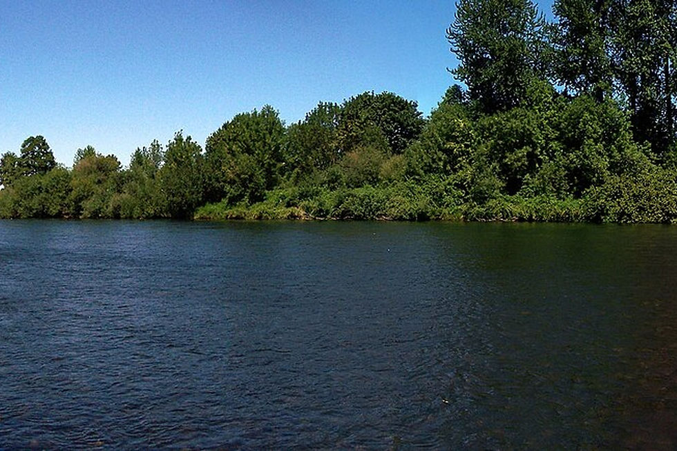 McKenzie River panorama near McKenzie Bridge, Oregon, photograph