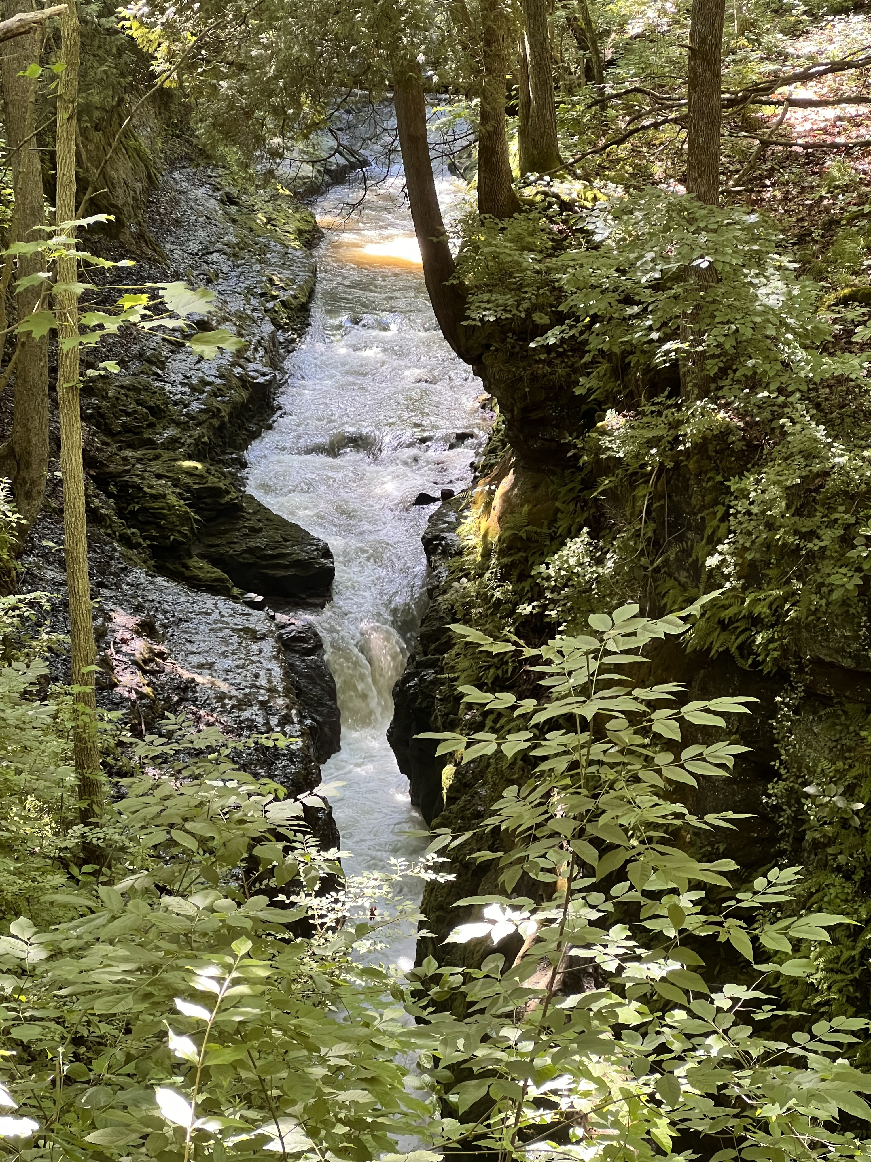 Clifton Gorge National Natural Landmark in Ohio