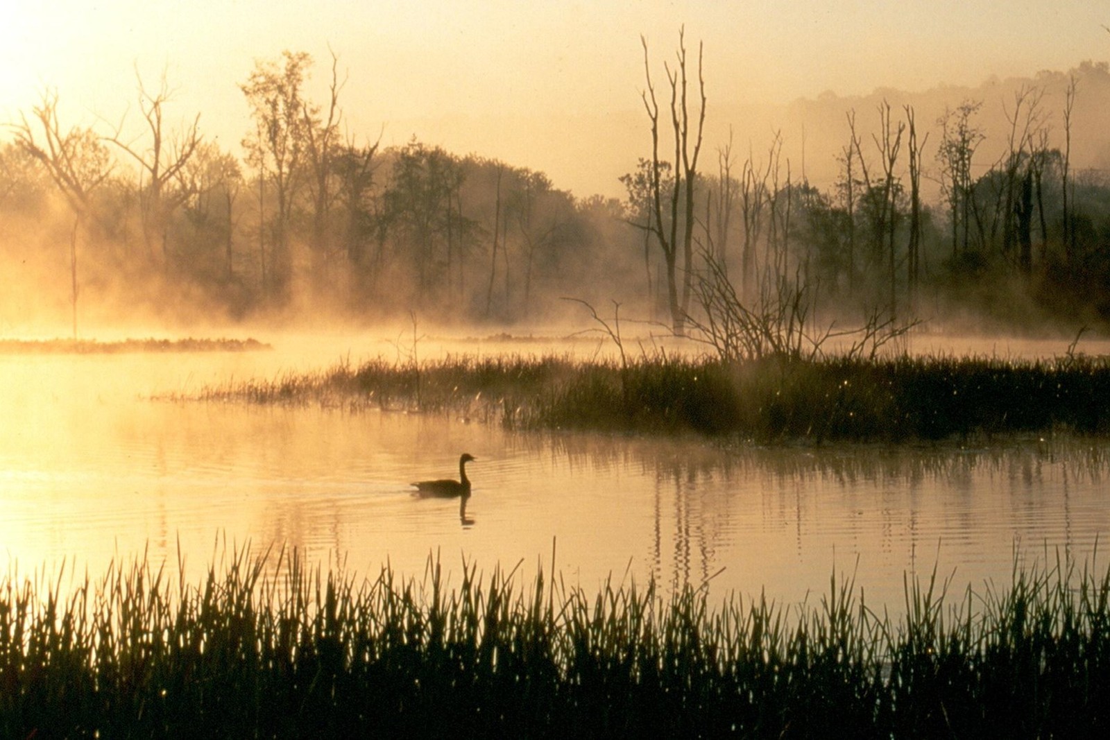 Beaver Marsh in Cuyahoga Valley National Park