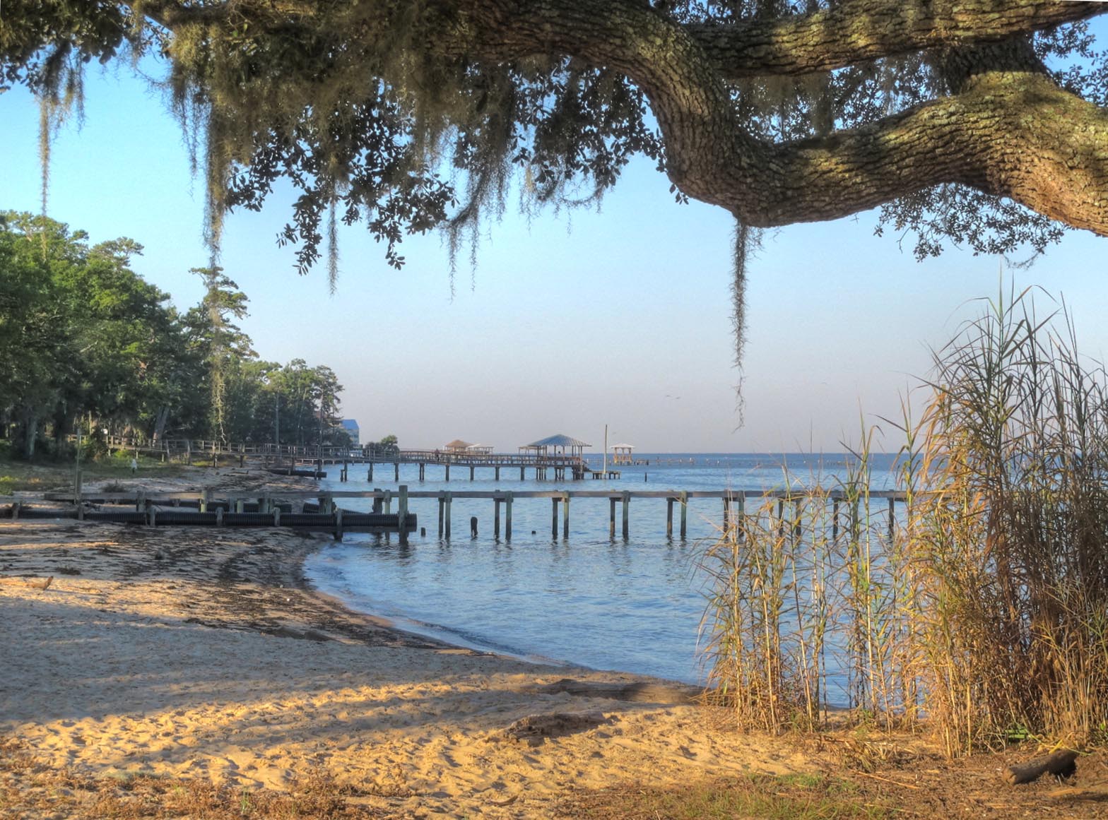 Spanish-moss oak over a Fairhope pier and bay beach