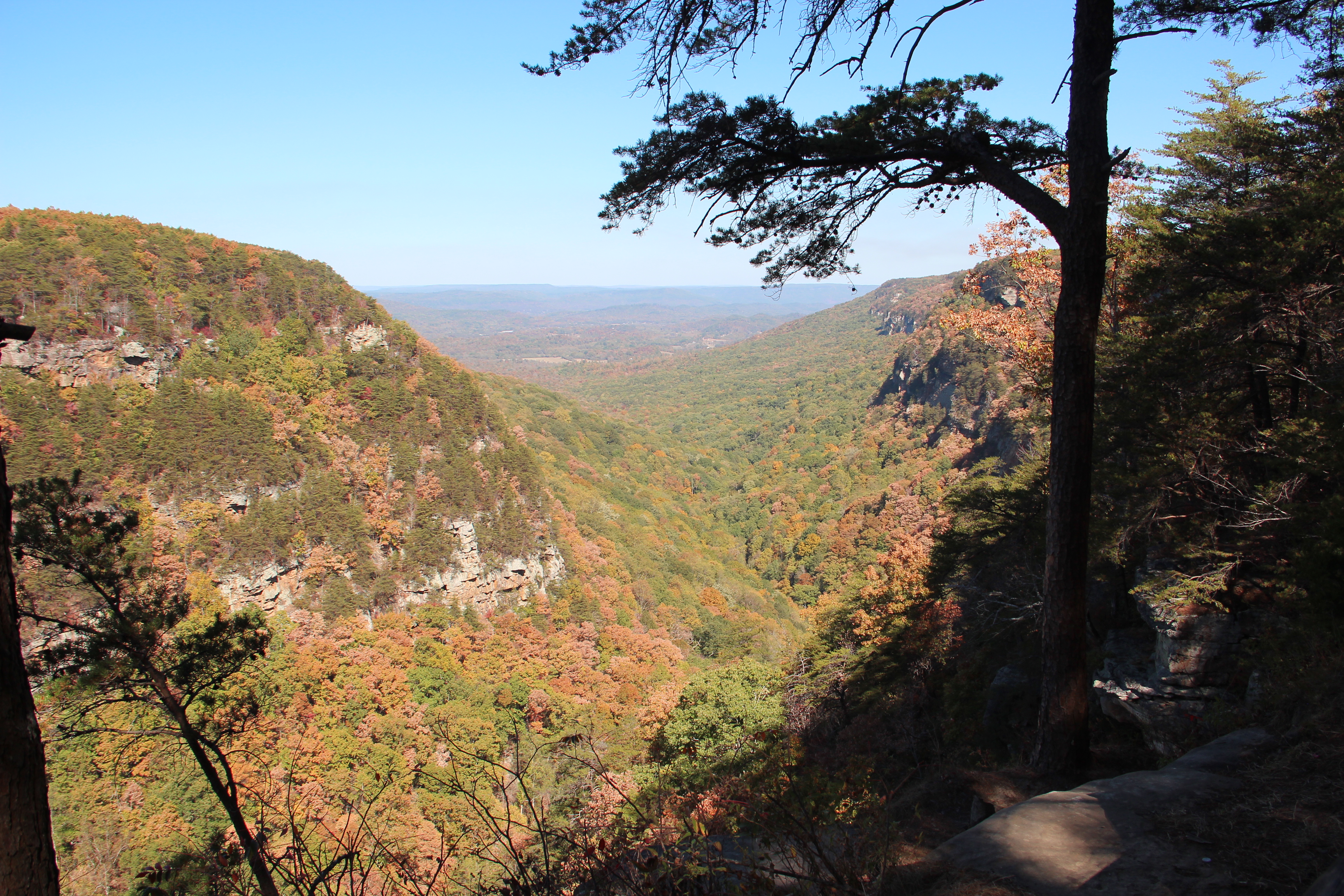 October color on the Cloudland Canyon rim