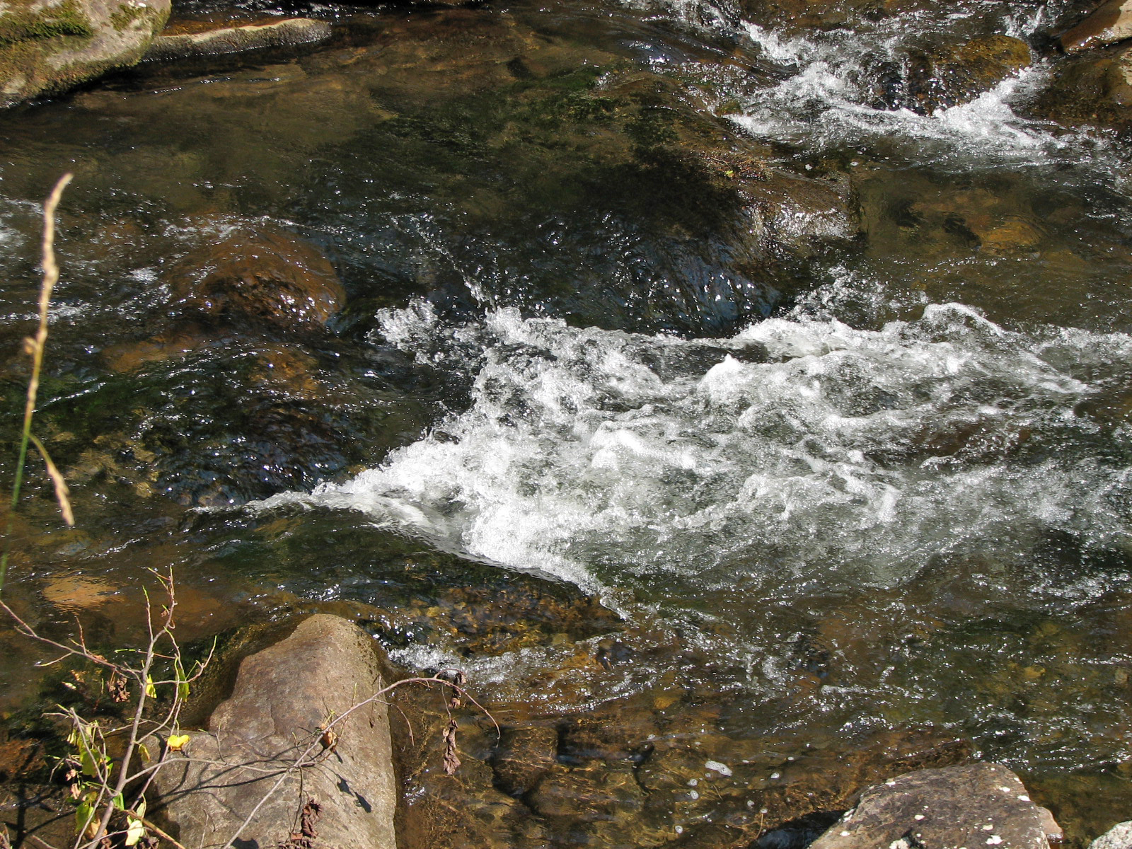 Little River water and Thunderhead Sandstone boulders in the Smokies