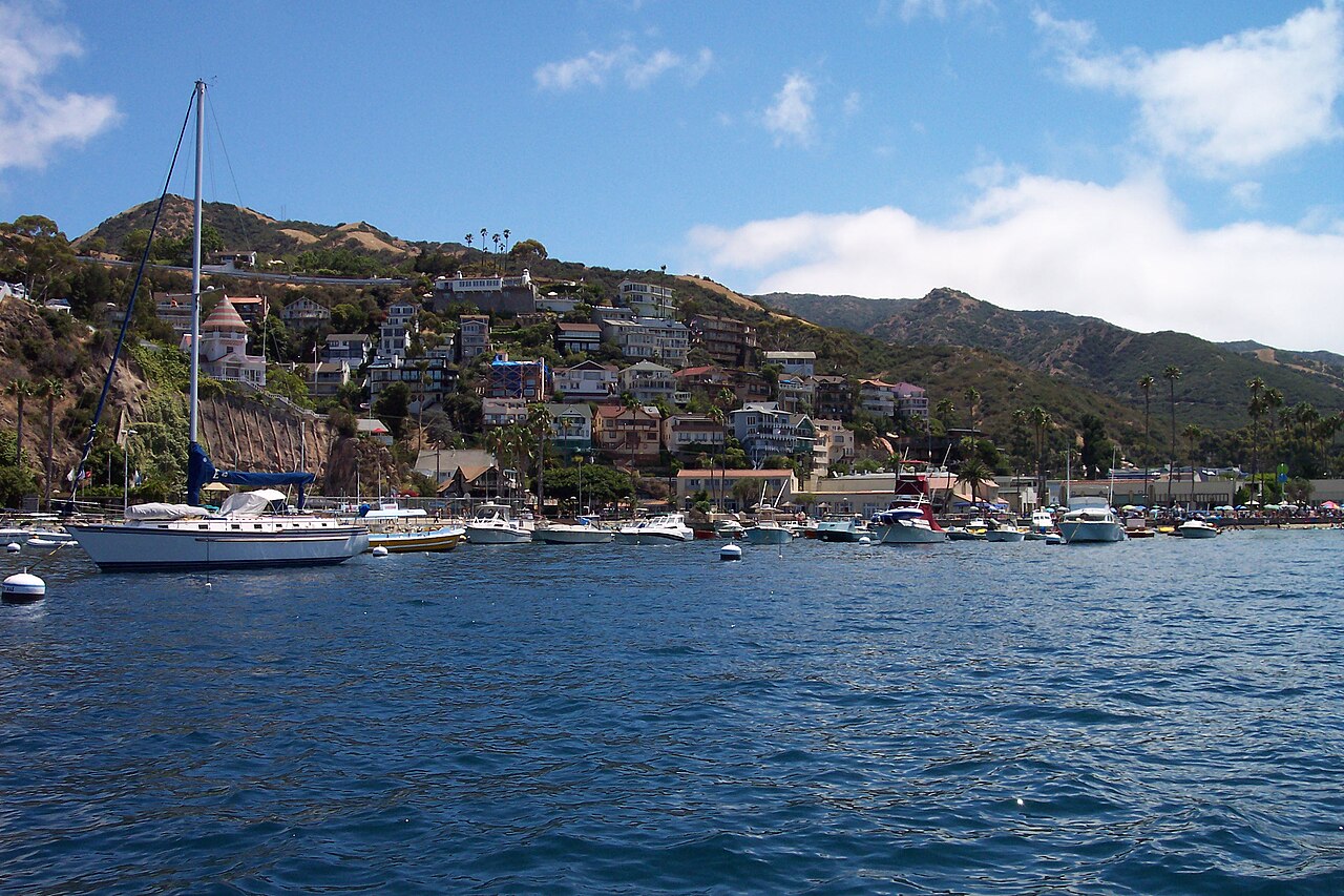 Hillside houses above Avalon Harbor from the water.