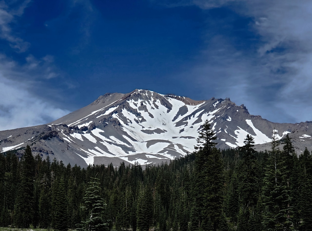 Mount Shasta above a pine forest under a blue sky