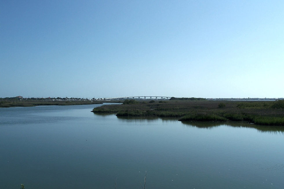 Vilano Beach Bridge from Nombre de Dios marsh