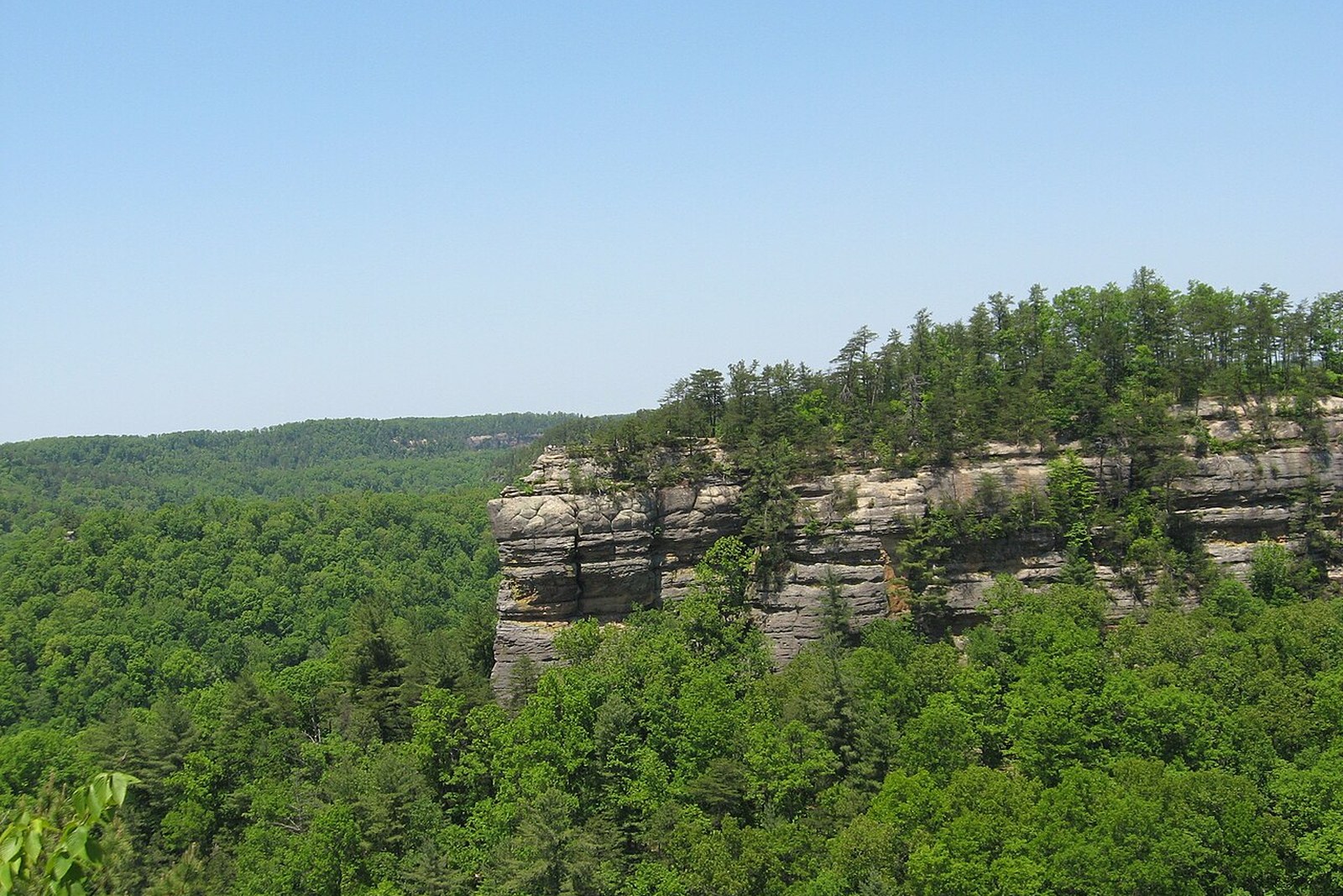 Chimney Top Rock in Red River Gorge