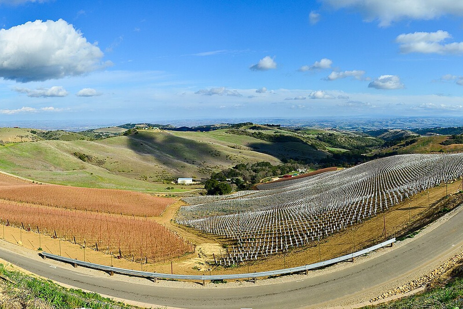 Rolling vineyard hills in the Paso Robles AVA