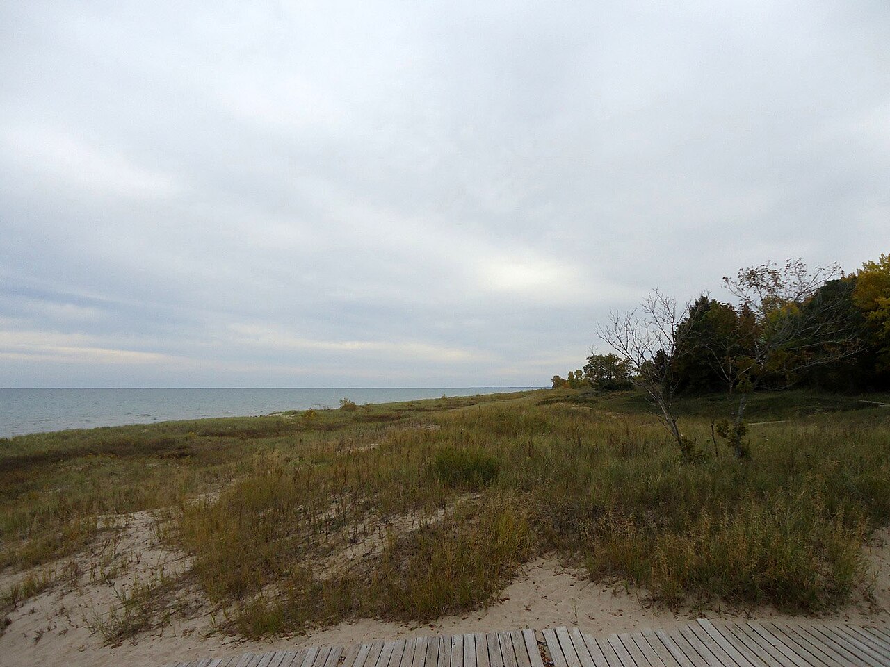 Boardwalk through Kohler-Andrae State Park dunes