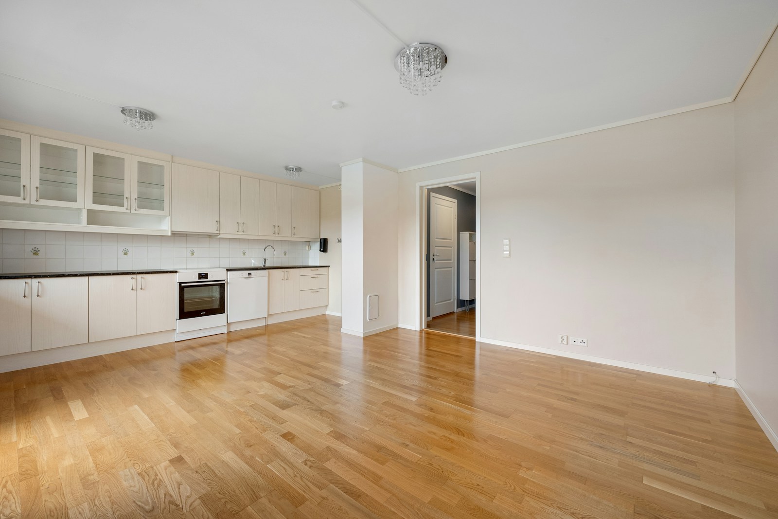 Empty white kitchen with wood floors, no people