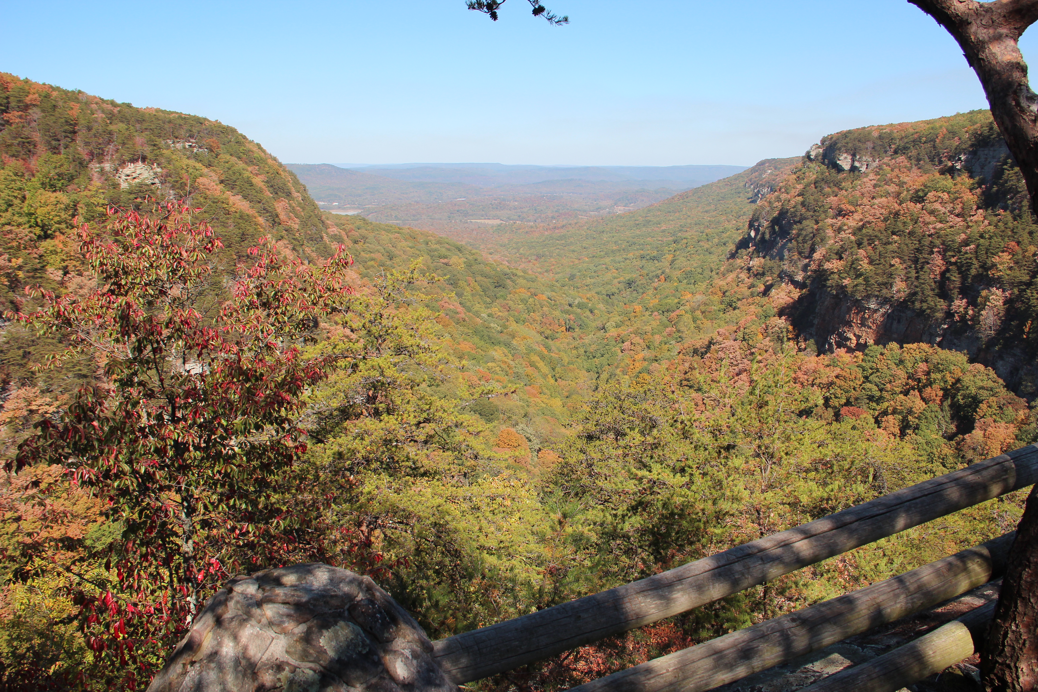 Cloudland Canyon rim woods in leaf season light