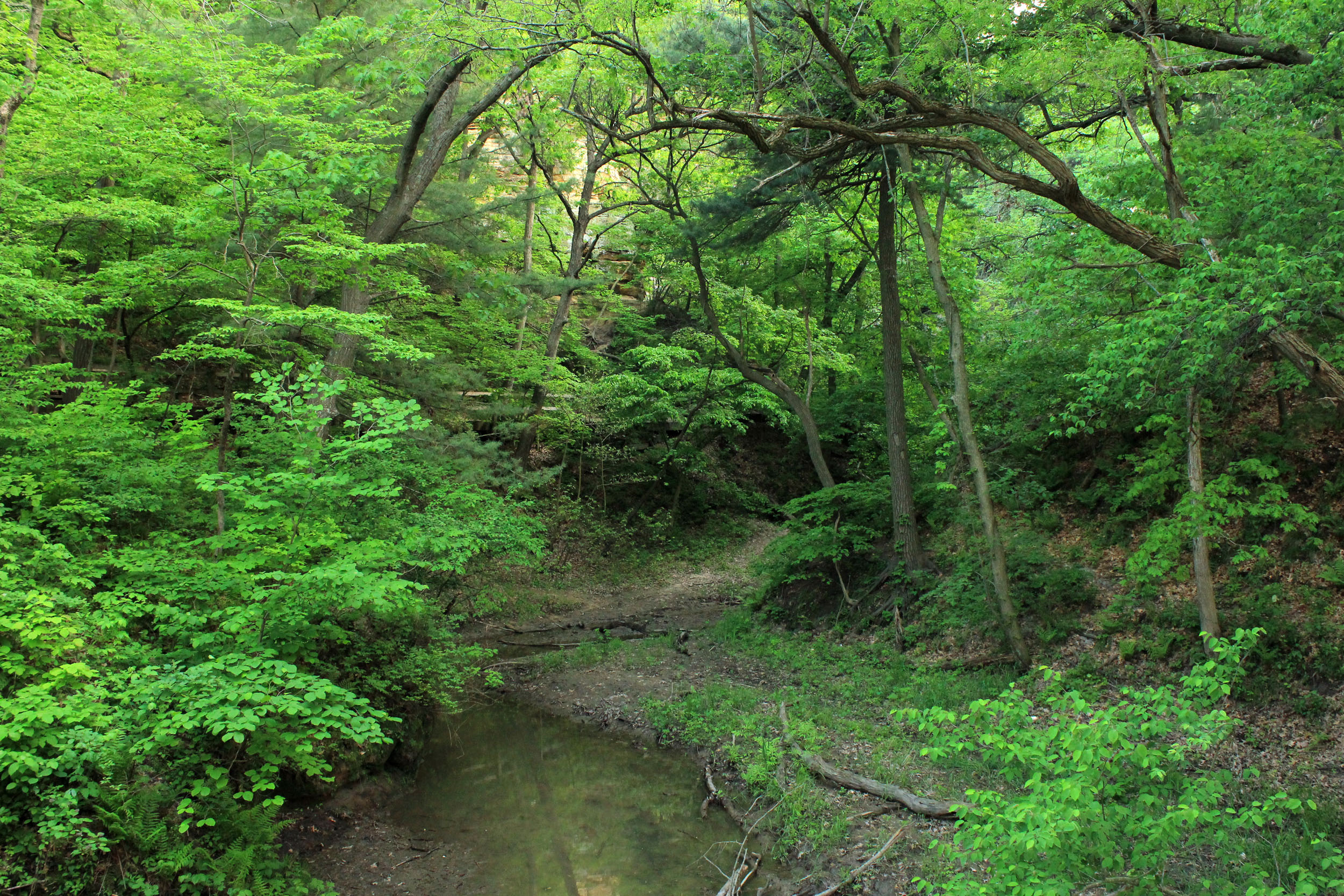 Wildcat Canyon at Starved Rock State Park, Illinois
