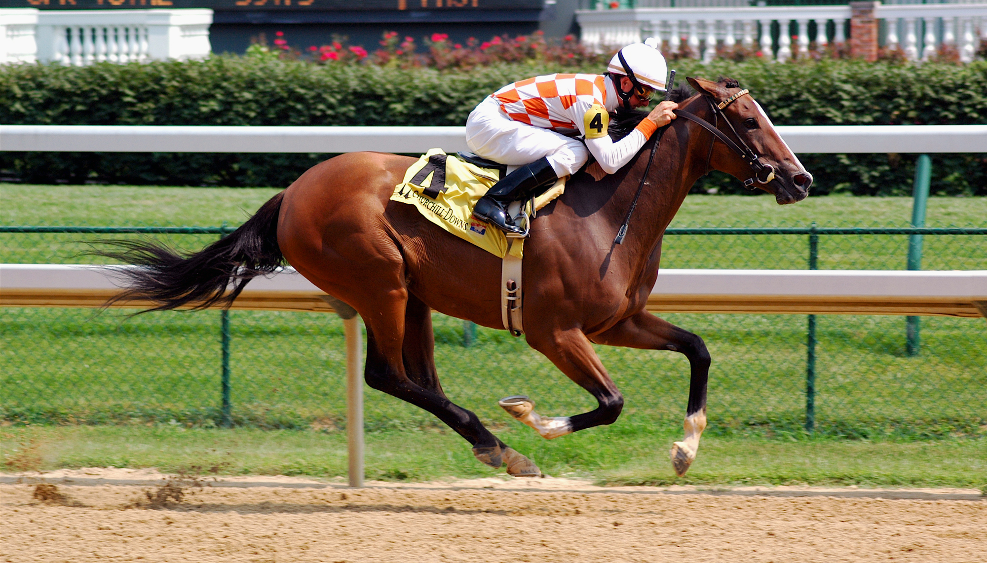 Horse racing at Churchill Downs, Louisville