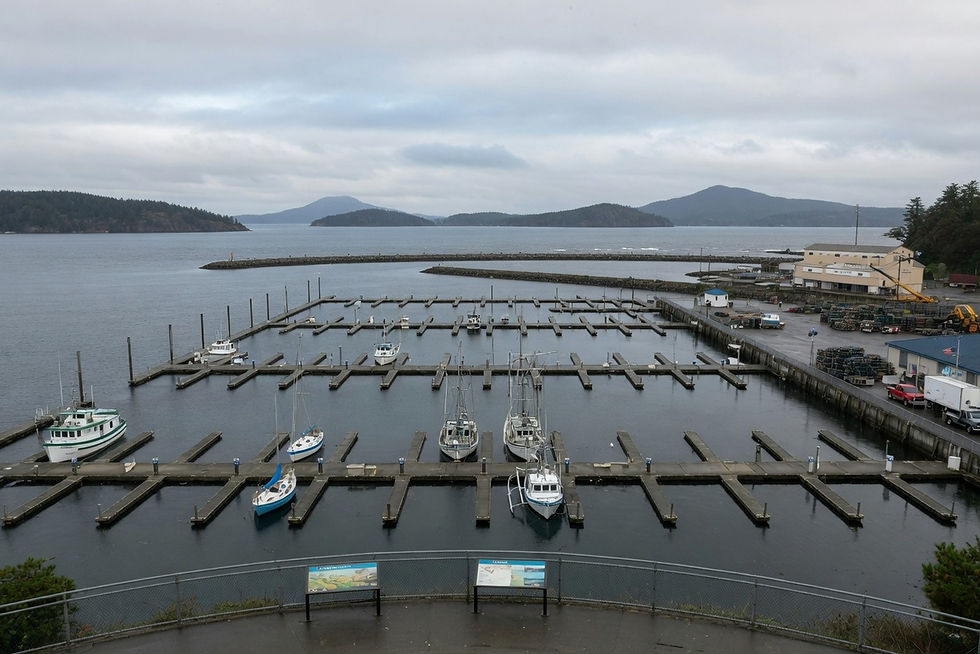 Empty Cap Sante overlook in Anacortes, Washington, no people