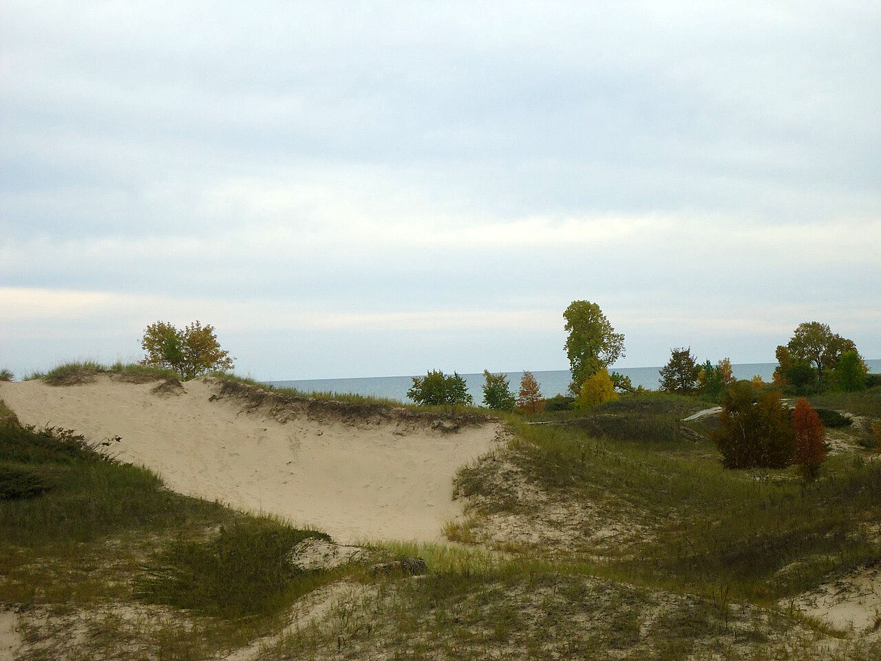 Sand dune opening toward Lake Michigan at Kohler-Andrae
