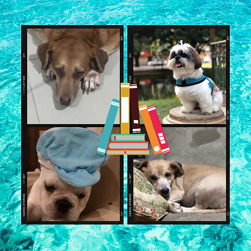 Square Polaroids Fall Family Photo Canvas.png