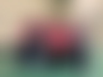 Pan Disability Section Update