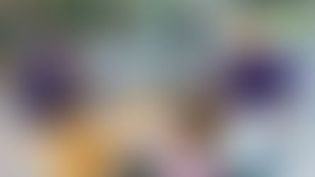 Occupational Therapy