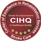 CIHQ Stroke.png