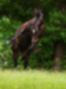 AdobeStock_57208681.jpeg