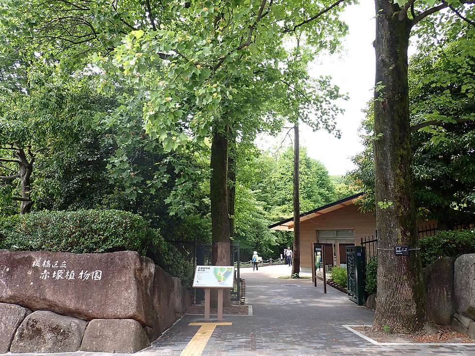 本園入口.JPG